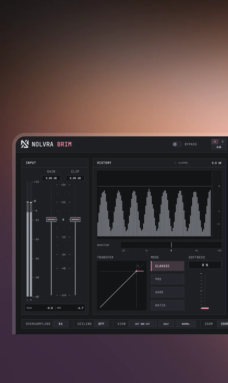 BRIM plugin interface