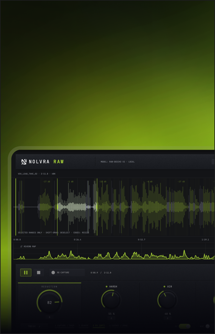RAW plugin interface